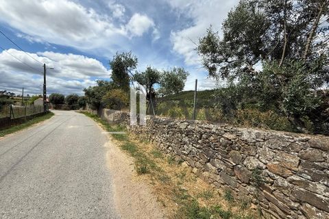 Helårsgrund i Castelo Branco, Castelo Branco, Castelo Branco - € 69.000 | Ref: 3958 - foto 4