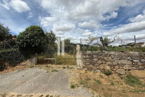 Helårsgrund i Castelo Branco, Castelo Branco, Castelo Branco - € 69.000 | Ref: 3958 - foto 3