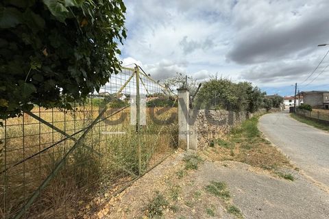 Helårsgrund i Castelo Branco, Castelo Branco, Castelo Branco - € 69.000 | Ref: 3958 - foto 6