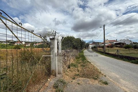 Helårsgrund i Castelo Branco, Castelo Branco, Castelo Branco - € 69.000 | Ref: 3958 - foto 7