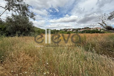 Helårsgrund i Castelo Branco, Castelo Branco, Castelo Branco - € 69.000 | Ref: 3958 - foto 8