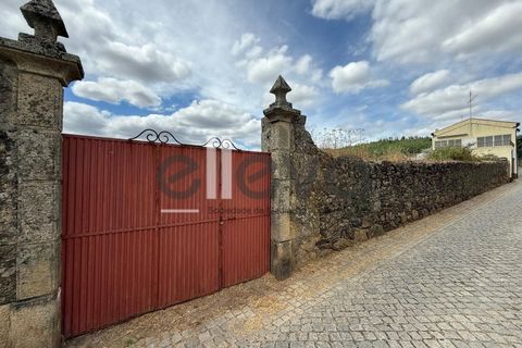 Helårsgrund i Castelo Branco, Castelo Branco, Castelo Branco - € 69.000 | Ref: 3958 - foto 1