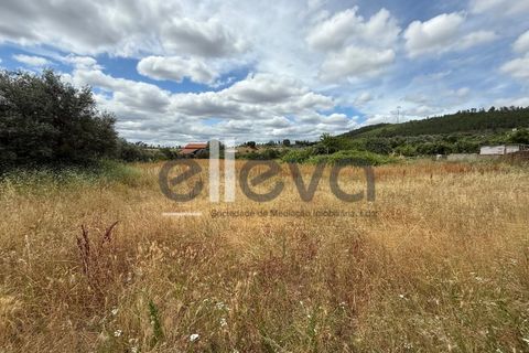 Helårsgrund i Castelo Branco, Castelo Branco, Castelo Branco - € 69.000 | Ref: 3958 - foto 12