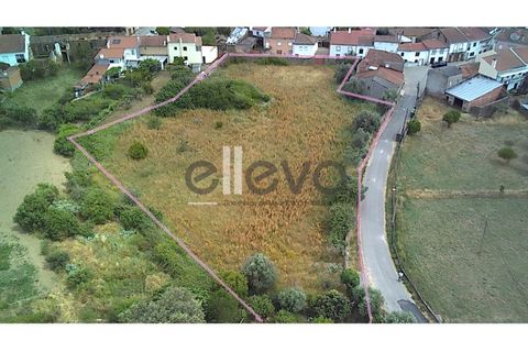 Helårsgrund i Castelo Branco, Castelo Branco, Castelo Branco - € 69.000 | Ref: 3958 - foto 15