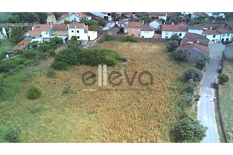 Helårsgrund i Castelo Branco, Castelo Branco, Castelo Branco - € 69.000 | Ref: 3958 - foto 16