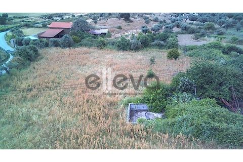 Helårsgrund i Castelo Branco, Castelo Branco, Castelo Branco - € 69.000 | Ref: 3958 - foto 18