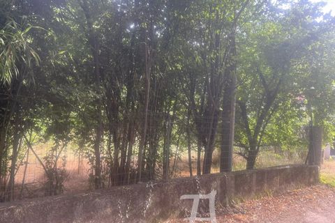 Terra a Sospel, Alpes-Maritimes, Sospel - € 299.000 | Ref: 86010946 - foto 3