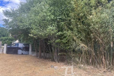 Terra a Sospel, Alpes-Maritimes, Sospel - € 299.000 | Ref: 86010946 - foto 11