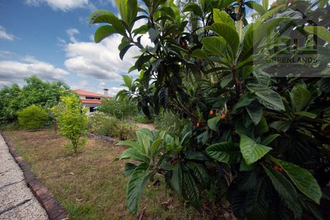 Herregård i Arganil, Coimbra, Arganil - € 400 000 | Ref: 649 - foto 12