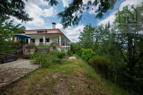 Herregård i Arganil, Coimbra, Arganil - € 400 000 | Ref: 649 - foto 46