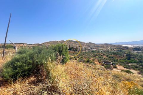 Landejendom i Mazarron, Murcia, Mazarron - € 230.000 | Ref: 1070 - foto 23