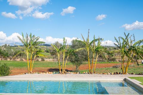Masia a Campos, Mallorca, Campos - € 8.000/mes | Ref: 16300001_MM/11003 - foto 16
