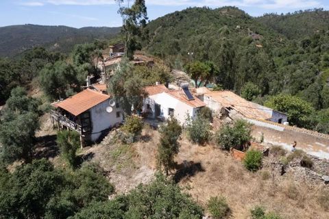Landejendom i Monchique, Faro, Monchique - € 285.000 | Ref: QT-784 - foto 13