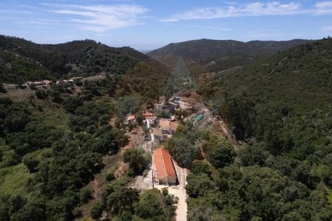 Landejendom i Monchique, Faro, Monchique - € 285.000 | Ref: QT-784 - foto 4