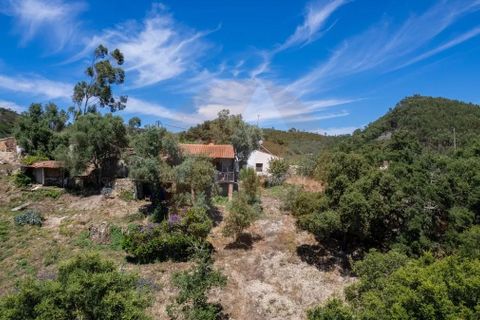 Landejendom i Monchique, Faro, Monchique - € 285.000 | Ref: QT-784 - foto 6