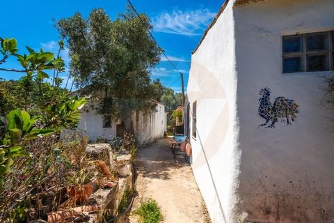 Landejendom i Monchique, Faro, Monchique - € 285.000 | Ref: QT-784 - foto 7