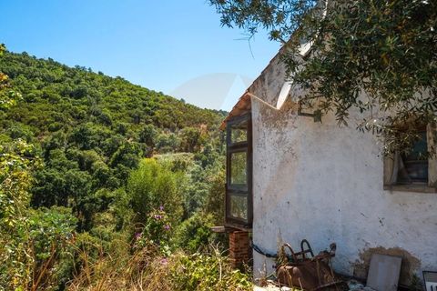 Landejendom i Monchique, Faro, Monchique - € 285.000 | Ref: QT-784 - foto 8