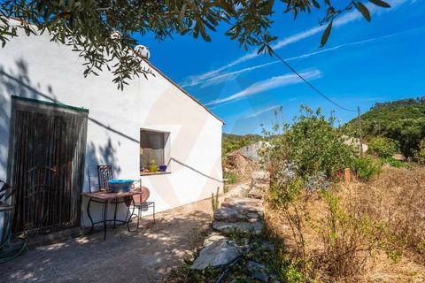 Landejendom i Monchique, Faro, Monchique - € 285.000 | Ref: QT-784 - foto 9