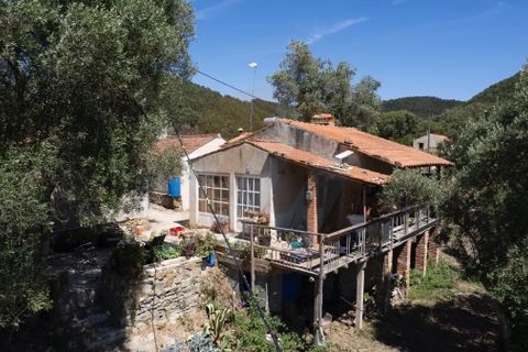 Landejendom i Monchique, Faro, Monchique - € 285.000 | Ref: QT-784 - foto 10