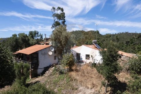 Landejendom i Monchique, Faro, Monchique - € 285.000 | Ref: QT-784 - foto 11