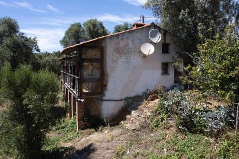 Landejendom i Monchique, Faro, Monchique - € 285.000 | Ref: QT-784 - foto 14