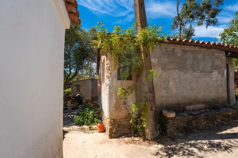 Landejendom i Monchique, Faro, Monchique - € 285.000 | Ref: QT-784 - foto 15