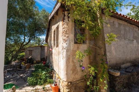Landejendom i Monchique, Faro, Monchique - € 285.000 | Ref: QT-784 - foto 17