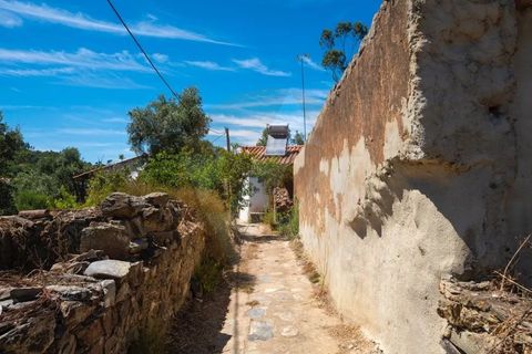 Landejendom i Monchique, Faro, Monchique - € 285.000 | Ref: QT-784 - foto 20