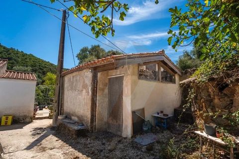 Landejendom i Monchique, Faro, Monchique - € 285.000 | Ref: QT-784 - foto 22