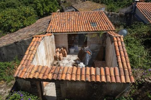 Landejendom i Monchique, Faro, Monchique - € 285.000 | Ref: QT-784 - foto 23