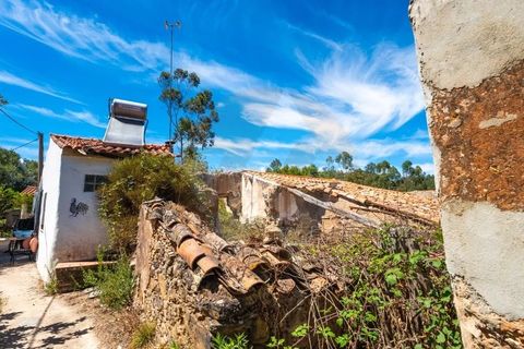 Landejendom i Monchique, Faro, Monchique - € 285.000 | Ref: QT-784 - foto 24