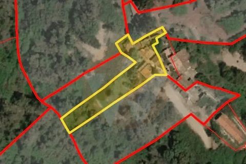 Landejendom i Monchique, Faro, Monchique - € 285.000 | Ref: QT-784 - foto 26