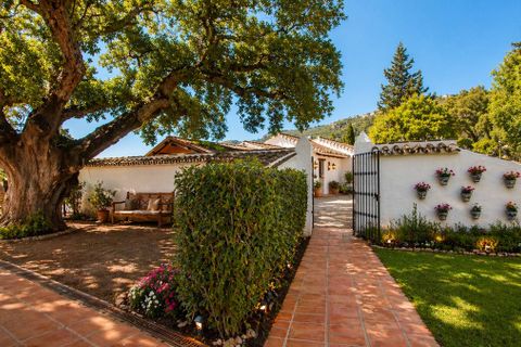 Landejendom i Casares, Malaga, Casares - € 1.400.000 | Ref: R5017528 - foto 35