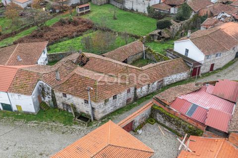 Villa i Vila Real, Vila Real, Vila Real - € 50.000 | Ref: ZMPT578043 - foto 2