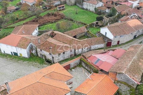 Villa i Vila Real, Vila Real, Vila Real - € 50.000 | Ref: ZMPT578043 - foto 4