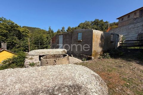 Villa a Tabuacas, Braga, Tabuacas - € 50.000 | Ref: ZMPT578067 - foto 22