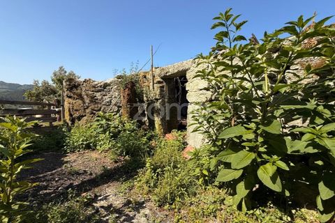 Villa a Tabuacas, Braga, Tabuacas - € 50.000 | Ref: ZMPT578067 - foto 18
