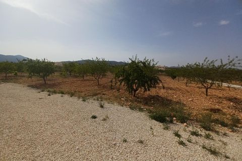 Villa i Pinoso, Alicante, Pinoso - € 649.995 | Ref: CCP3122 - foto 21