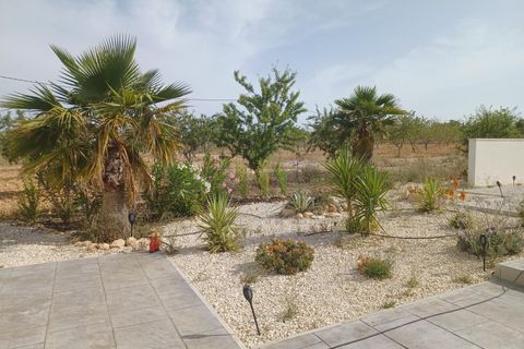 Villa i Pinoso, Alicante, Pinoso - € 649.995 | Ref: CCP3122 - foto 46