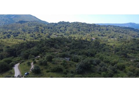 Helårsgrund i Palmela, Setubal, Palmela - € 650.000 | Ref: KWPT-017402 - foto 6