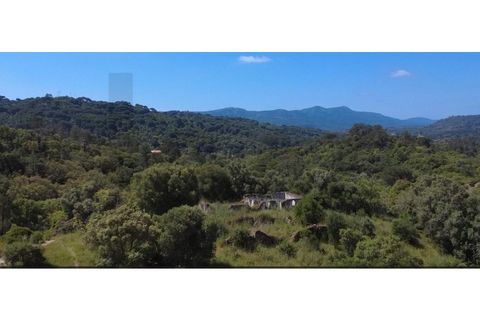 Helårsgrund i Palmela, Setubal, Palmela - € 650.000 | Ref: KWPT-017402 - foto 10