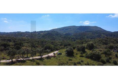 Helårsgrund i Palmela, Setubal, Palmela - € 650.000 | Ref: KWPT-017402 - foto 13