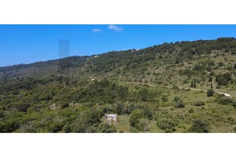 Helårsgrund i Palmela, Setubal, Palmela - € 650.000 | Ref: KWPT-017402 - foto 14