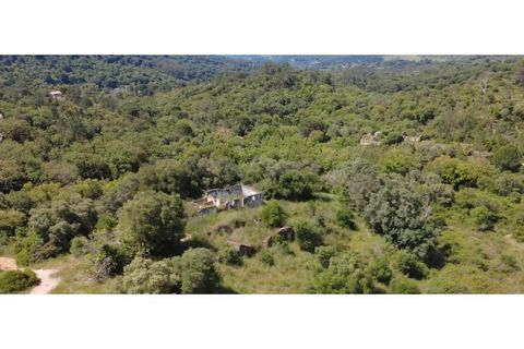 Helårsgrund i Palmela, Setubal, Palmela - € 650.000 | Ref: KWPT-017402 - foto 16