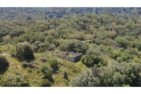 Helårsgrund i Palmela, Setubal, Palmela - € 650.000 | Ref: KWPT-017402 - foto 17