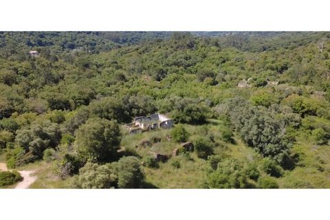 Helårsgrund i Palmela, Setubal, Palmela - € 650.000 | Ref: KWPT-017402 - foto 18