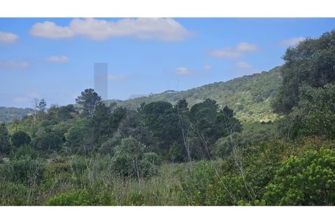 Helårsgrund i Palmela, Setubal, Palmela - € 650.000 | Ref: KWPT-017402 - foto 20