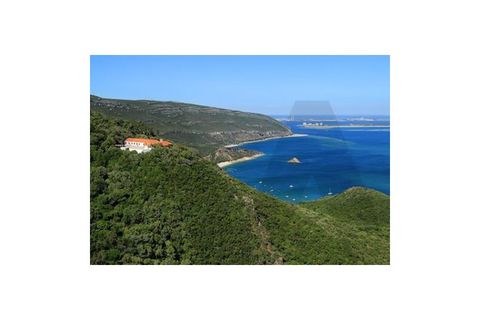 Helårsgrund i Palmela, Setubal, Palmela - € 650.000 | Ref: KWPT-017402 - foto 35