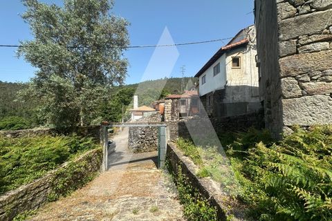 Villa a Talhadas, Aveiro, Talhadas - € 45.000 | Ref: 1051325/25 OB - foto 16