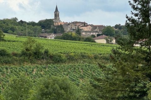 Villa a La Roche-Vineuse, Saone-et-Loire, La Roche-Vineuse - € 267.000 | Ref: 340935672431 - foto 12